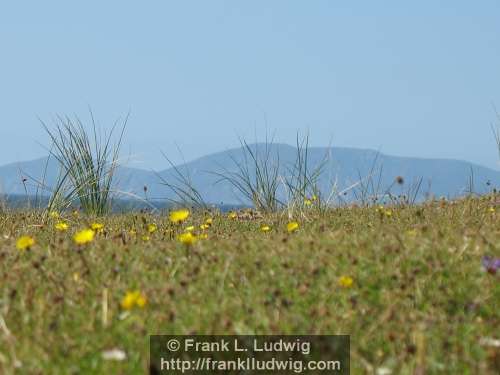 Streedagh Strand